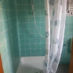 Gartenzimmer Mit Strassenbahn Zu Dom Und Messe *