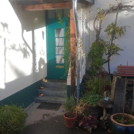 Gartenzimmer Mit Strassenbahn Zu Dom Und Messe