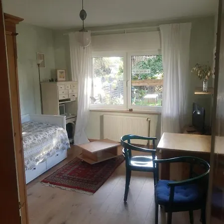Gartenzimmer Mit Strassenbahn Zu Dom Und Messe * Cologne