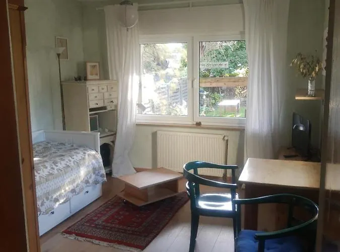 Gartenzimmer Mit Strassenbahn Zu Dom Und Messe * Köln